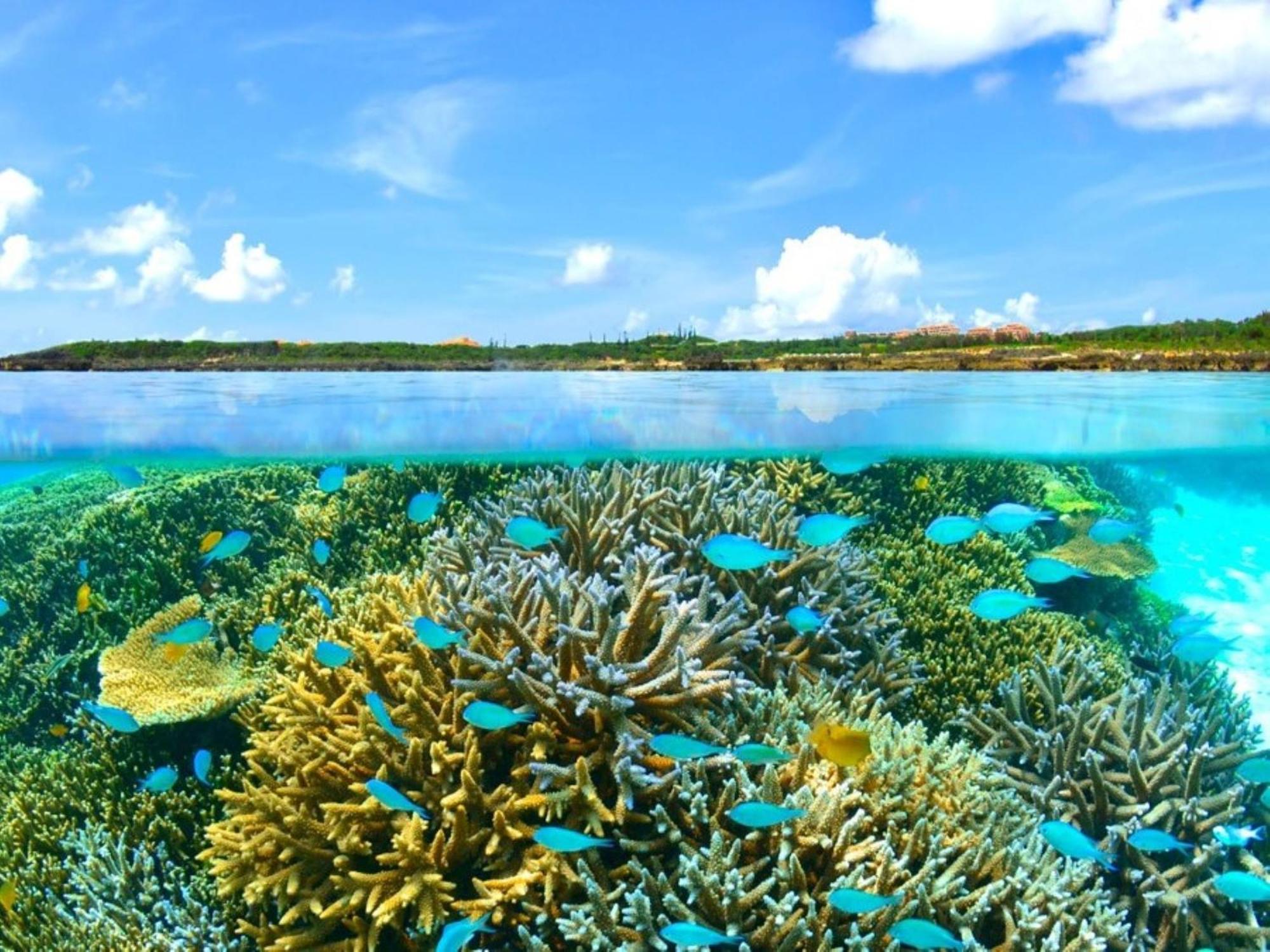 Shigira Bayside Suite Allamanda Miyakojima  Екстер'єр фото